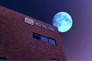 猎聘网 连接职场的桥梁与互联网信息咨询的革新力量